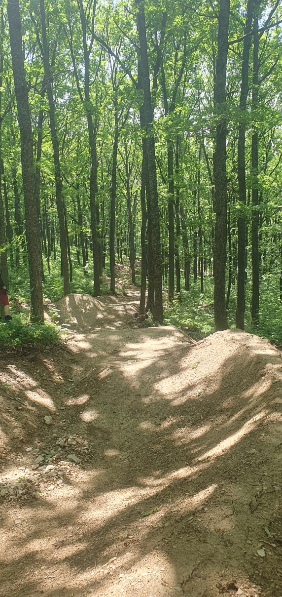 Flow Trail